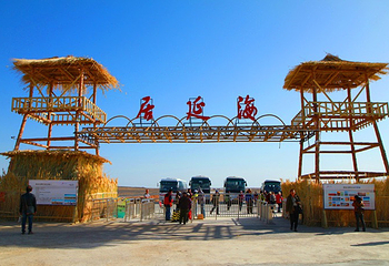 居延海第 59 张图片
