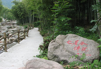 中国大竹海景区第 47 张图片