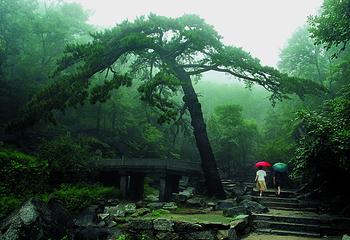 盘山第 4 张图片