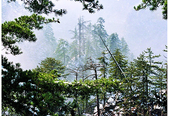 贵清山旅游风景区第 7 张图片