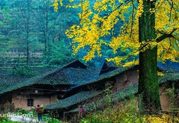 天坑寨子景区第 12 张图片