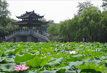安吉龙王山风景区第 8 张图片