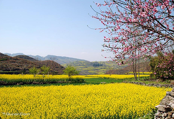川岛旅游度假区第 19 张图片