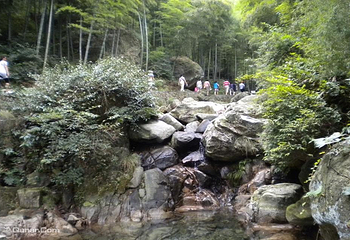 中国大竹海景区第 26 张图片