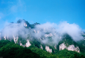 光雾山旅游景区第 25 张图片
