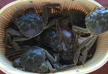渤海湾七里海生态园第 1 张图片