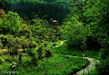 九真山风景区第 103 张图片