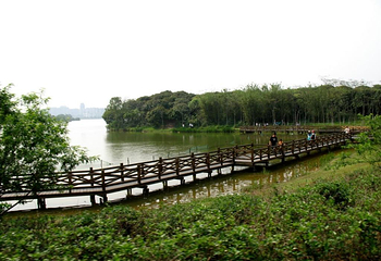 西流湖公园生态中心第 4 张图片