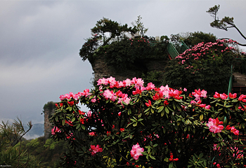 光雾山旅游景区第 22 张图片