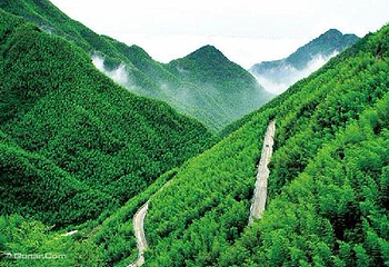 中国大竹海景区第 46 张图片