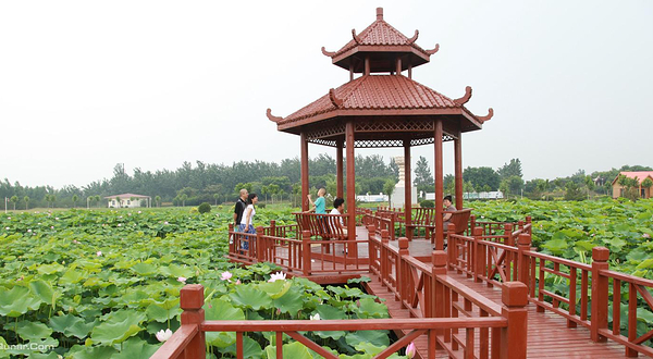 荷花公园