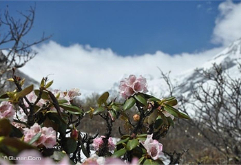 燕子沟第 37 张图片