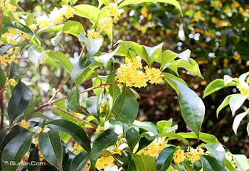 花山谜窟第 48 张图片