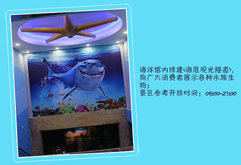 海洋大世界第 5 张图片