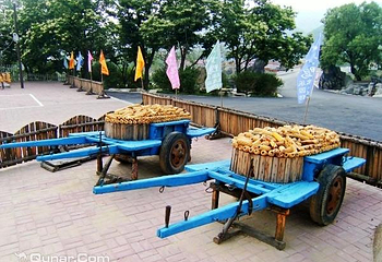 大黄鸭生态园第 5 张图片
