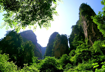 贵清山旅游风景区第 3 张图片