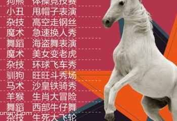 欢乐风暴马戏节第 4 张图片