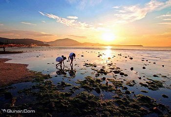 刘家湾赶海园第 26 张图片