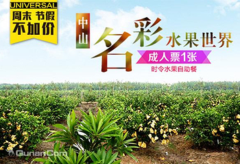 名彩水果世界第 1 张图片