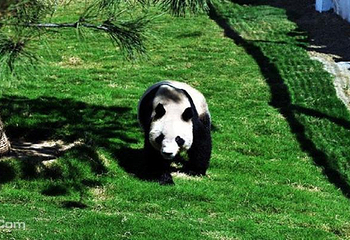 临沂动植物园第 2 张图片