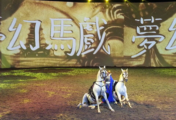 东方马城（马秀）第 7 张图片