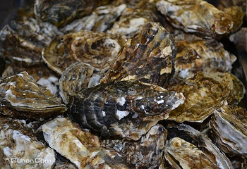 鲅鱼圈春华海鲜城第 5 张图片