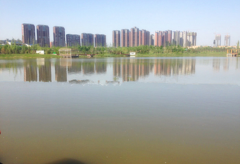 西安浐灞桃花潭公园第 4 张图片