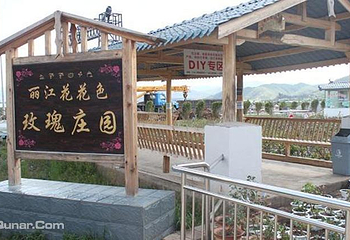 丽江花花色玫瑰庄园第 6 张图片