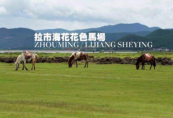丽江花花色玫瑰庄园第 3 张图片