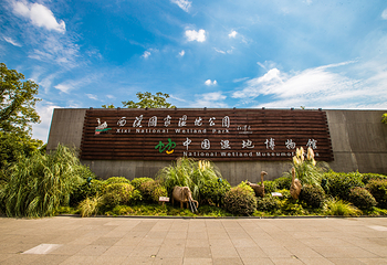 中国湿地博物馆第 6 张图片