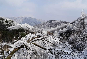 山王坪喀斯特国家生态公园第 5 张图片