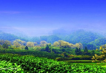 祥源祁门红茶文化旅游景区第 1 张图片