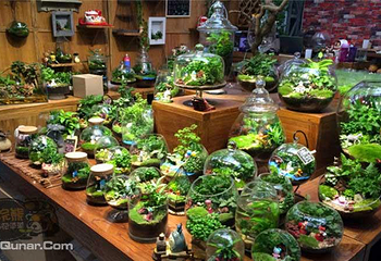 小浣熊的花花草草(霄云路店)第 4 张图片