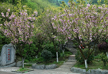 王仙岭旅游风景区第 2 张图片