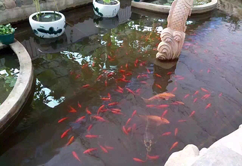 花溪地温泉生态乐园第 24 张图片