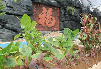 花溪地温泉生态乐园第 20 张图片