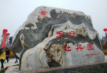 天府牡丹园第 5 张图片
