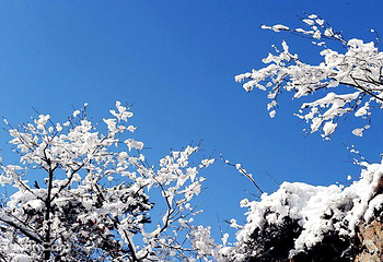 天门山冰雪大世界第 12 张图片