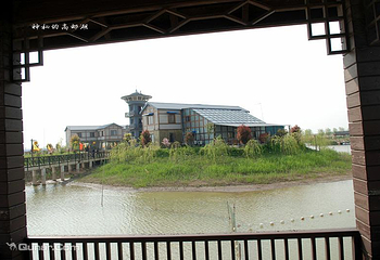 高邮湖芦苇荡湿地公园第 2 张图片