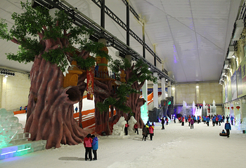辽宁冠翔冰雪大世界第 12 张图片