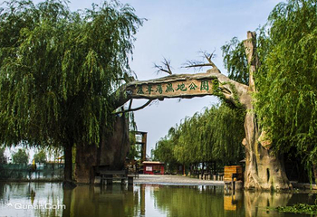 高邮湖芦苇荡湿地公园第 10 张图片
