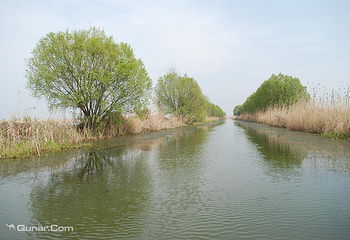 高邮湖芦苇荡湿地公园第 5 张图片