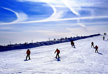 七里海滑雪场第 5 张图片
