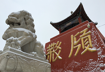 西夏陵第 5 张图片