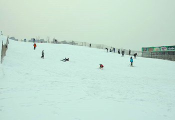 蟹岛冰雪乐园第 13 张图片
