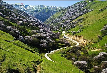 野核桃沟第 3 张图片