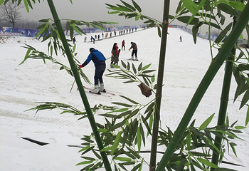 台儿庄古城滑雪场第 4 张图片