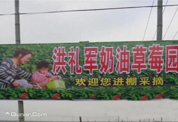 洪礼军奶油草莓园第 2 张图片