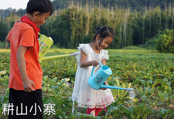 耕山小寨第 11 张图片