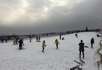 台儿庄古城滑雪场第 2 张图片